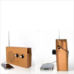 Card Radio with input by SuckUK